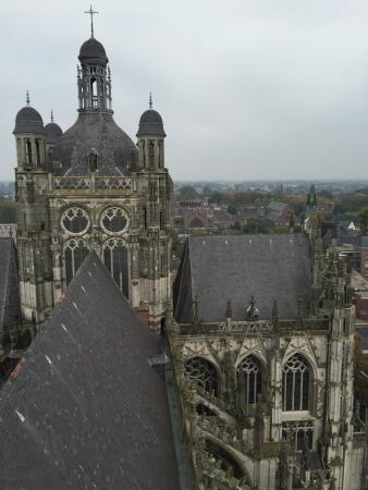 de Sint-Janskathedraal