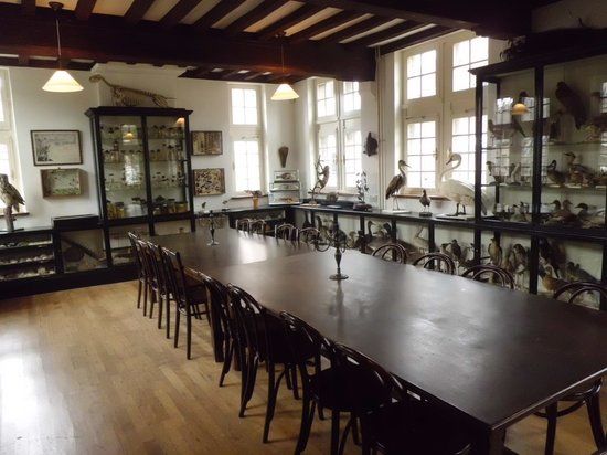het Natuurhistorisch Museum Maastricht