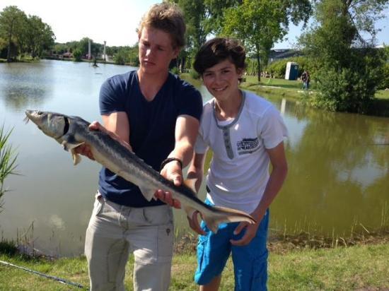 Vissen bij de Zuilen