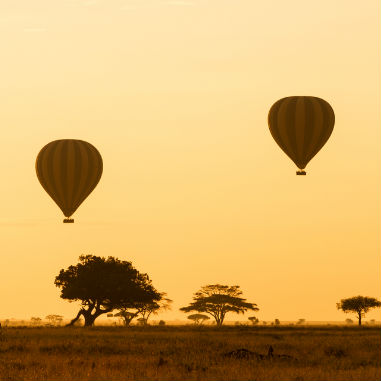 afrika van helden travel grote bol afrika van helden travel grote bol